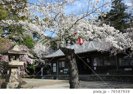 藤白神社 76587939