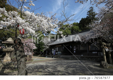 藤白神社 76587977