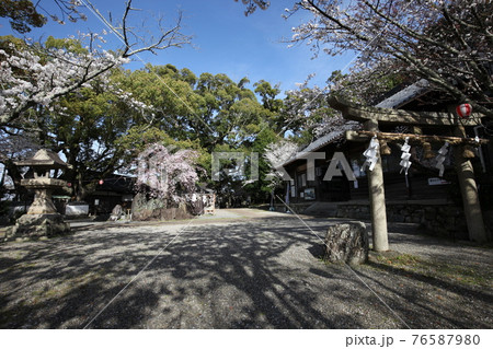 藤白神社 76587980
