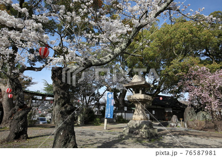 藤白神社 76587981