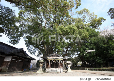 藤白神社 藤白神社 76588068