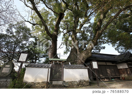 藤白神社 76588070