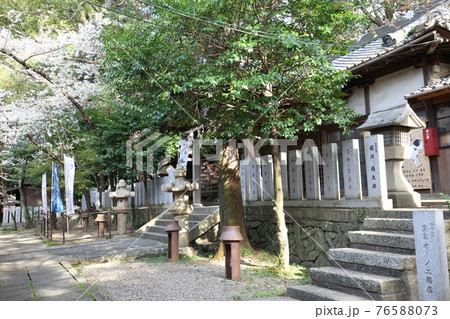 藤白神社 76588073