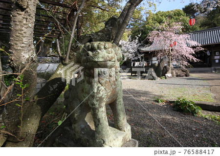 藤白神社 藤白神社 76588417