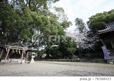藤白神社 76588423