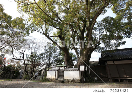 藤白神社 藤白神社 76588425