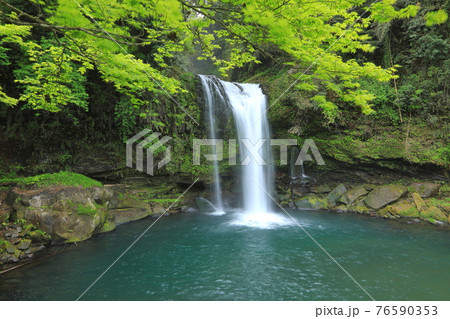 新緑の慈恩の滝 76590353