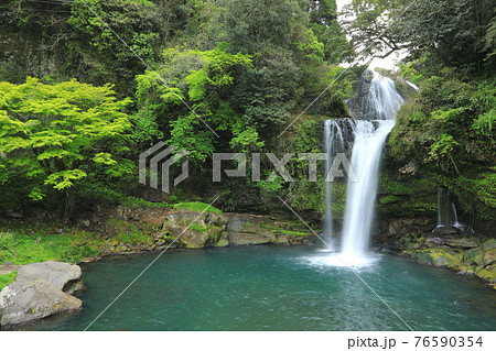 新緑の慈恩の滝 76590354