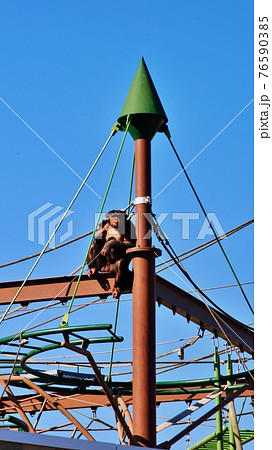 旭山動物園 76590385