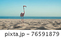 pink flamingo on sandy sea coast with white sand 76591879