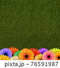 single flower orange gerbera on green background of green grass 76591987