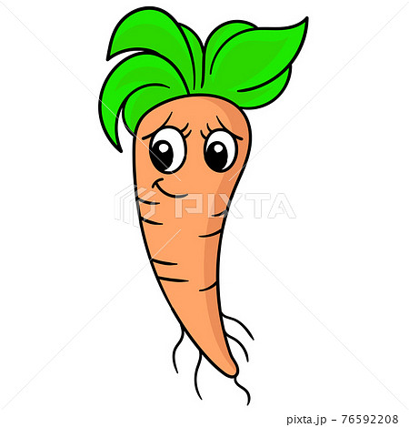 Vegetable Carrot Face Beautiful Woman Doodle のイラスト素材