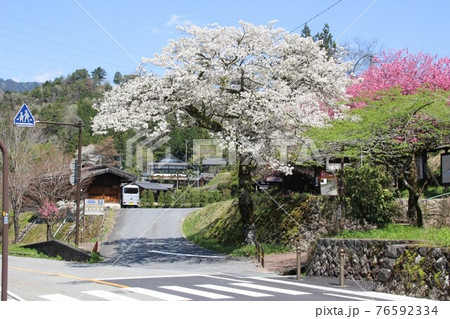 馬籠・妻籠6 76592334