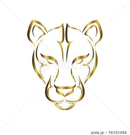 Gold Line Art Of Cougar Head Good Use For のイラスト素材