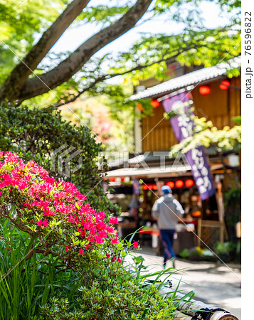 情緒豊かな春の門前町周辺の景色 ツツジと茶屋の朝の風景の写真素材 情緒豊かな春の門前町周辺の景色 ツツジと茶屋の朝の風景の写真素材