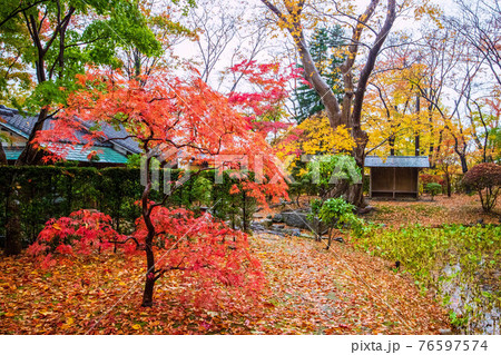 日本100名城 雨と紅葉の久保田城 庭園 日本100名城 雨と紅葉の久保田城 庭園 76597574