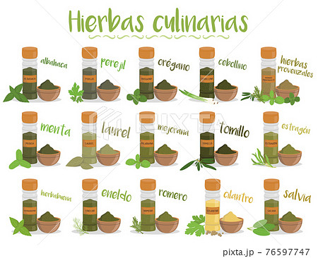 Set of 15 different culinary herbs in cartoon style. Spanish names. 76597747