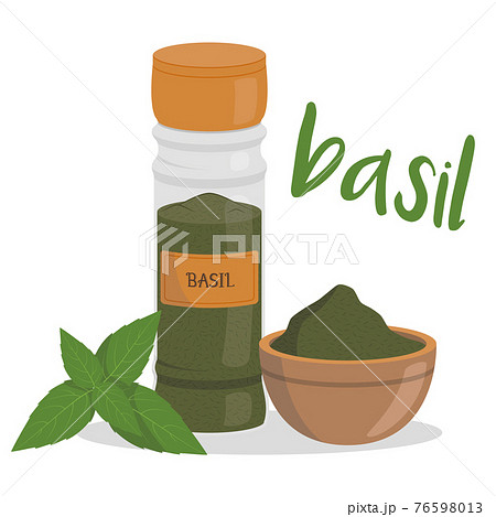 Vector basil illustration isolated in cartoon style. Herbs and Species Series Vector basil illustration isolated in cartoon style. Herbs and Species Series 76598013