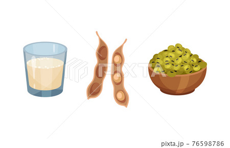 Soy Milk in Glass and Green Raw Beans Rested in Bowl Vector Set Soy Milk in Glass and Green Raw Beans Rested in Bowl Vector Set 76598786