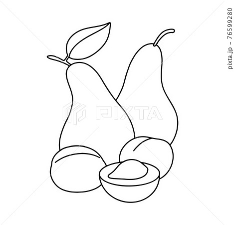 Pears and apricots. Harvest fruits. Vector black and white drawing. Children's coloring, objects for drawing Pears and apricots. Harvest fruits. Vector black and white drawing. Children's coloring, objects for drawing 76599280