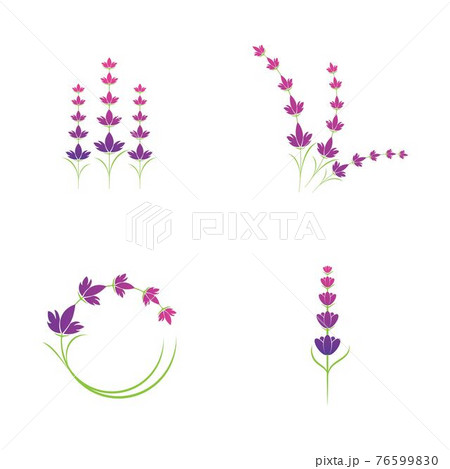 Lavender flower logo symbol template 76599830