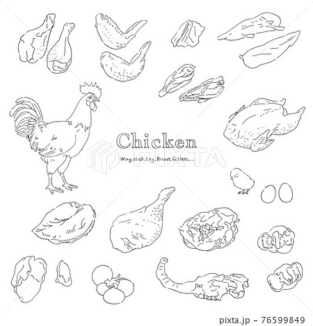 鶏肉のイラストセット 手描きの線画のイラスト素材