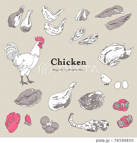 鶏肉のイラストセット 手描きのイラスト素材