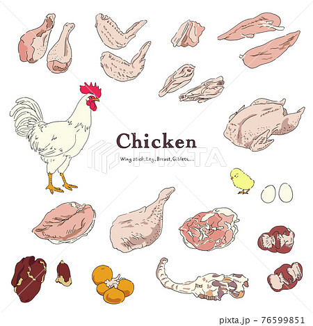 鶏肉のイラストセット 手描きのイラスト素材