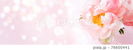 Beautiful Pink peony 76600441