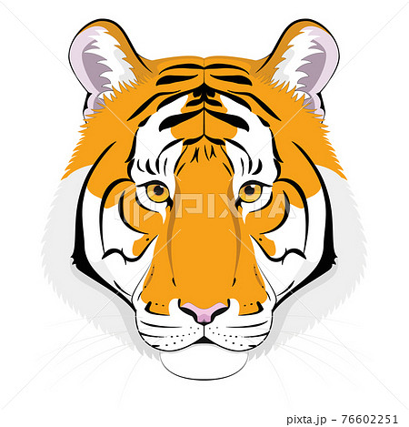 Tiger head in cartoon style. Vector illustration - Stock Illustration  [76602251] - PIXTA
