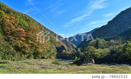 晩秋の抱返り渓谷と入り口の赤い吊橋のコラボ情景＠秋田 76602532