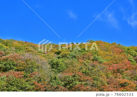 遊歩道から見た青空バックの抱返り渓谷の紅葉情景＠秋田 76602533