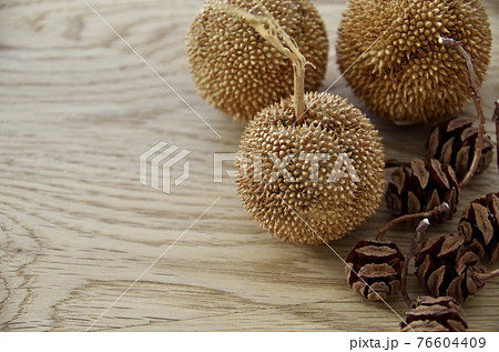 プラタナスとメタセコイアの実 コピースペース プラタナスとメタセコイアの実 コピースペース 76604409