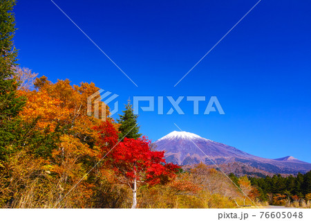 紅葉シーズンの富士山 富士宮市の富士スカイライン西臼塚駐車場から見る風景の写真素材