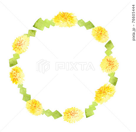 手描き水彩のタンポポ 円形フレーム 手描き水彩のタンポポ 円形フレーム 76605444