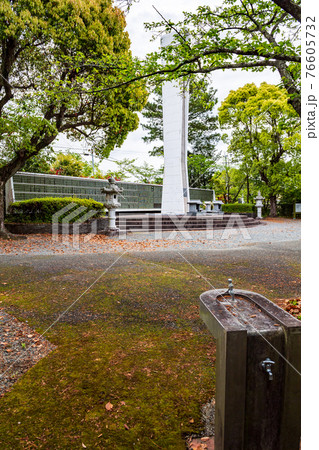 田原坂西南戦争の公園に咲くツツジ 田原坂西南戦争の公園に咲くツツジ 76605732
