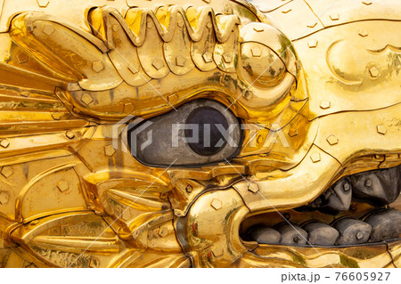 金シャチの顔 金シャチの顔 76605927