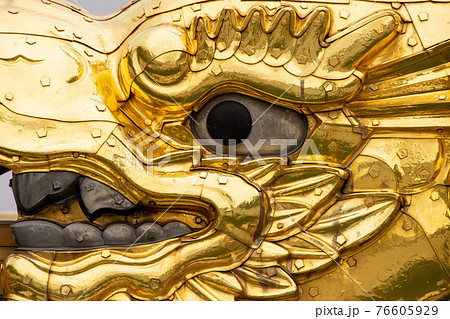 金シャチの顔 76605929