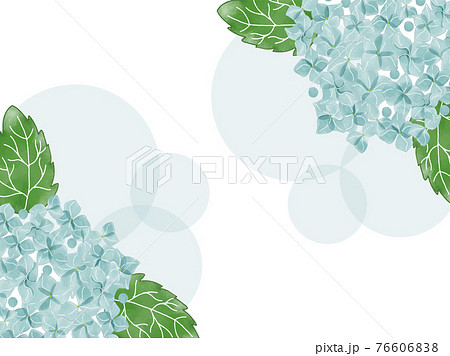 手書き水彩 青い紫陽花背景のイラスト素材