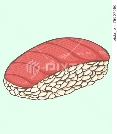 Otoro and maguro sushi. Sea food sushi japanese food style. Omakase sushi and sashimi restaurant. Isolated vector and illustration. 76607666