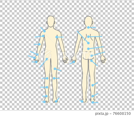 Body sample part 76608150