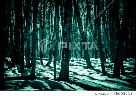 Horror background. Scary frightening tree trunks in the deep winter forest glowing greenish in the dark with mystical shadows in the gloomy haze in the blue light of the moon Horror background. Scary frightening tree trunks in the deep winter forest glowing greenish in the dark with mystical shadows in the gloomy haze in the blue light of the moon 76608218