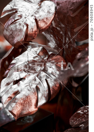 Floral plant background, texture silvery pink red artificial lush shiny monstera leaves Floral plant background, texture silvery pink red artificial lush shiny monstera leaves 76608945