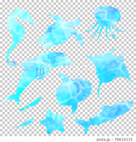 海の生き物 シルエット 76610135