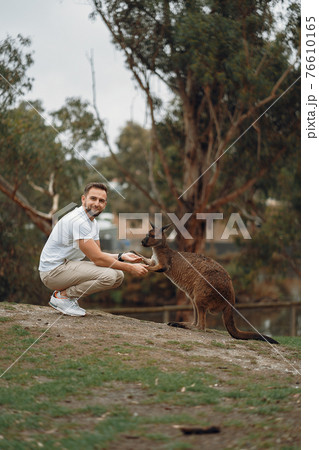 Man in the reserve is playing with a kangaroo Man in the reserve is playing with a kangaroo 76610165