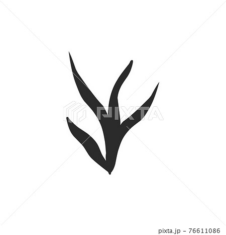 silhouette contour plants seaweed algae aquatic water plant, grass for aquarium. isolated vector hand drawn illustration in doodle style. 76611086