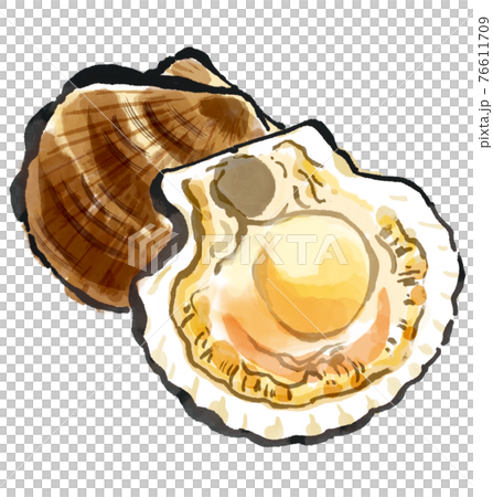 Scallops that look delicious 76611709