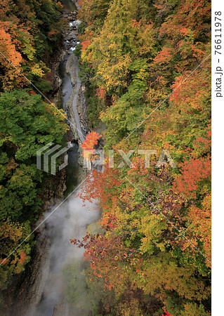 10月 紅葉の小安峡の写真素材