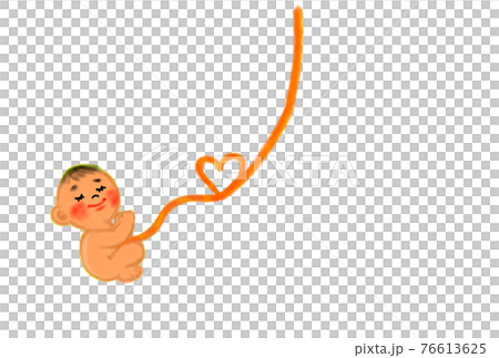 お腹の中にいる赤ちゃんのイメージイラスト。 76613625