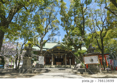 浪速高津宮（高津神社）拝殿　2021年3月　桜　春 76613699